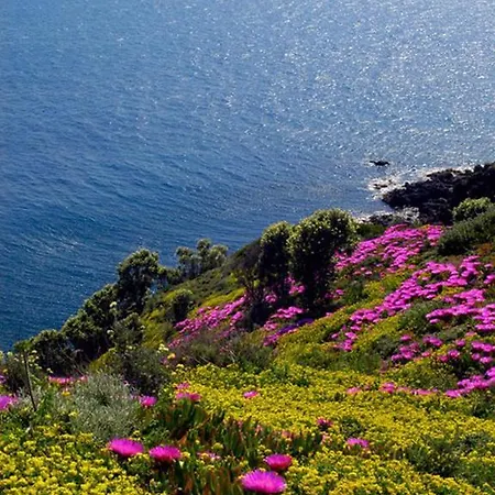 Roma Piombino